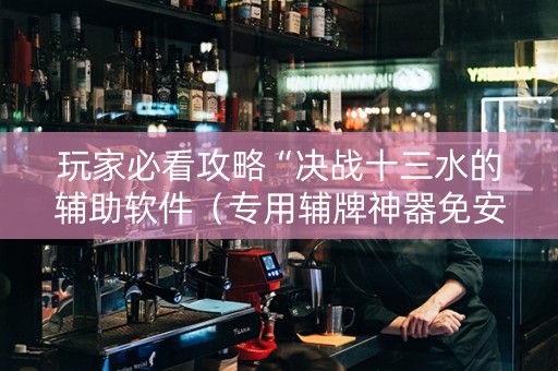 玩家必看攻略“决战十三水的辅助软件（专用辅牌神器免安装）
