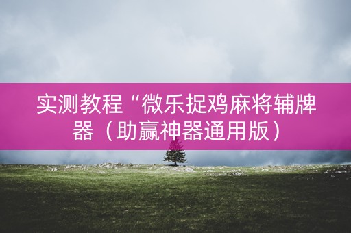 实测教程“微乐捉鸡麻将辅牌器（助赢神器通用版）