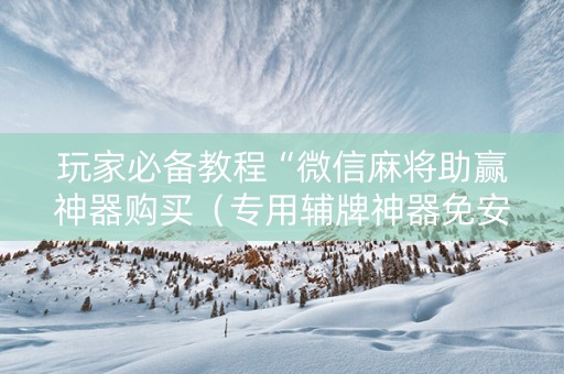玩家必备教程“微信麻将助赢神器购买（专用辅牌神器免安装）