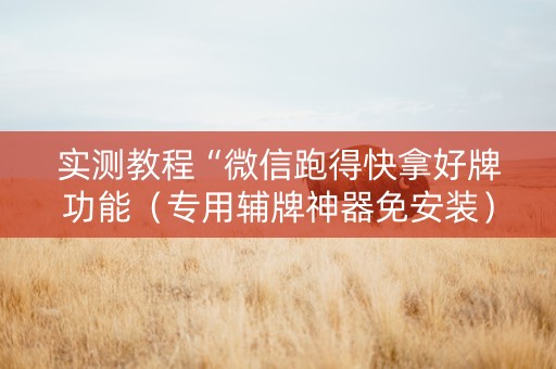 实测教程“微信跑得快拿好牌功能（专用辅牌神器免安装）