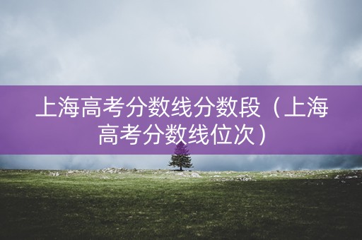 上海高考分数线分数段（上海高考分数线位次）