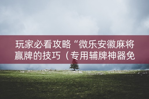 玩家必看攻略“微乐安徽麻将赢牌的技巧（专用辅牌神器免安装）
