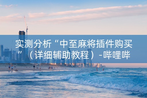 实测分析“中至麻将插件购买”（详细辅助教程）-哔哩哔哩