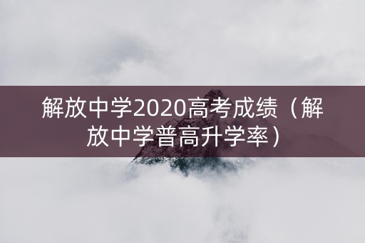 解放中学2020高考成绩（解放中学普高升学率）