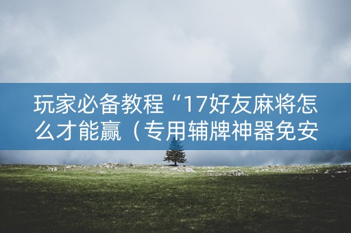玩家必备教程“17好友麻将怎么才能赢（专用辅牌神器免安装）