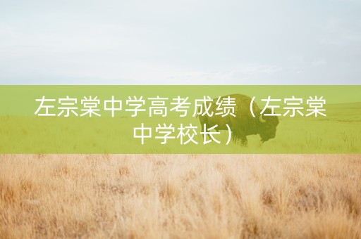左宗棠中学高考成绩（左宗棠中学校长）