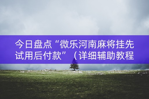 今日盘点“微乐河南麻将挂先试用后付款”（详细辅助教程）-哔哩哔哩