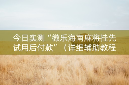 今日实测“微乐海南麻将挂先试用后付款”（详细辅助教程）-哔哩哔哩