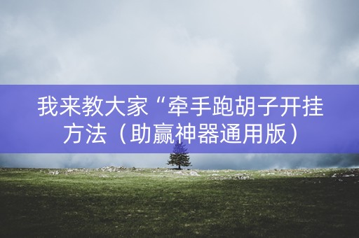 我来教大家“牵手跑胡子开挂方法（助赢神器通用版）