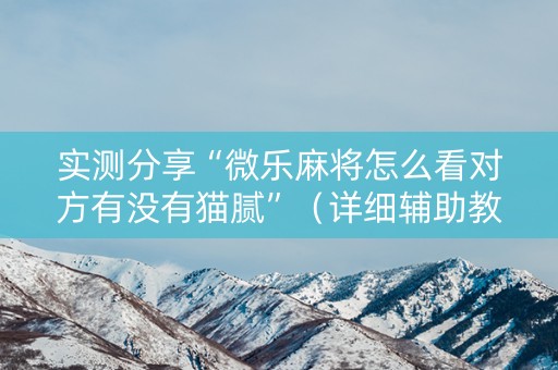 实测分享“微乐麻将怎么看对方有没有猫腻”（详细辅助教程）-哔哩哔哩