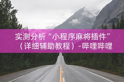 实测分析“小程序麻将插件”（详细辅助教程）-哔哩哔哩
