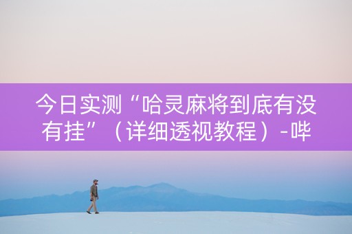 今日实测“哈灵麻将到底有没有挂”（详细透视教程）-哔哩哔哩