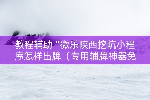 教程辅助“微乐陕西挖坑小程序怎样出牌（专用辅牌神器免安装）