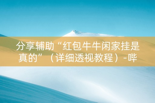 分享辅助“红包牛牛闲家挂是真的”（详细透视教程）-哔哩哔哩