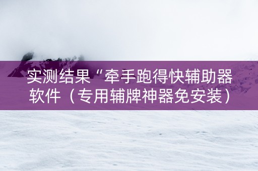 实测结果“牵手跑得快辅助器软件（专用辅牌神器免安装）