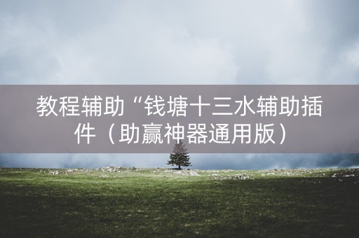 教程辅助“钱塘十三水辅助插件（助赢神器通用版）