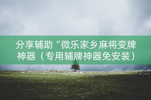 分享辅助“微乐家乡麻将变牌神器（专用辅牌神器免安装）