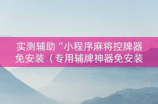 实测辅助“小程序麻将控牌器免安装（专用辅牌神器免安装）