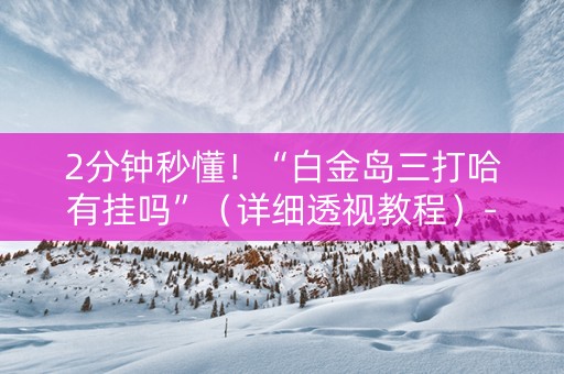 2分钟秒懂！“白金岛三打哈有挂吗”（详细透视教程）-哔哩哔哩
