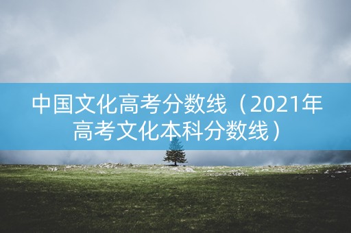 中国文化高考分数线（2021年高考文化本科分数线）