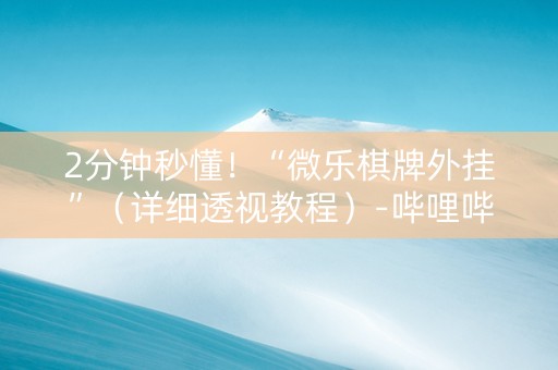 2分钟秒懂！“微乐棋牌外挂”（详细透视教程）-哔哩哔哩