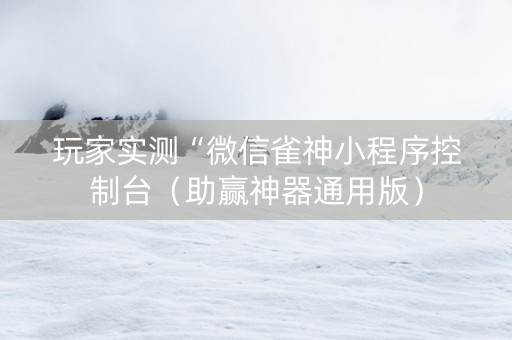 玩家实测“微信雀神小程序控制台（助赢神器通用版）