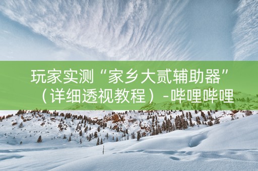 玩家实测“家乡大贰辅助器”（详细透视教程）-哔哩哔哩