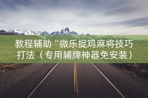 教程辅助“微乐捉鸡麻将技巧打法（专用辅牌神器免安装）