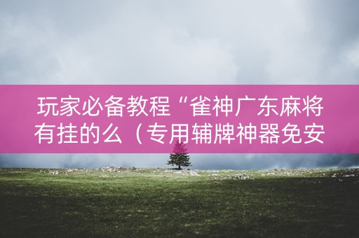 玩家必备教程“雀神广东麻将有挂的么（专用辅牌神器免安装）