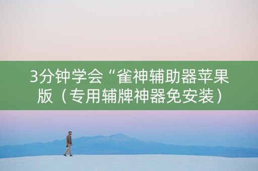 3分钟学会“雀神辅助器苹果版（专用辅牌神器免安装）