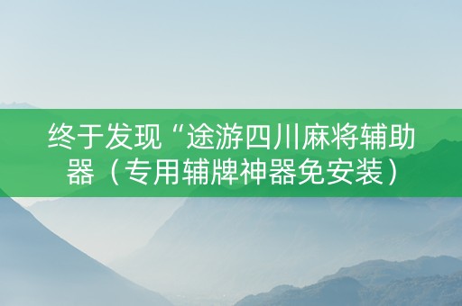 终于发现“途游四川麻将辅助器（专用辅牌神器免安装）