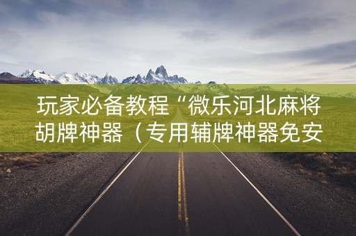 玩家必备教程“微乐河北麻将胡牌神器（专用辅牌神器免安装）