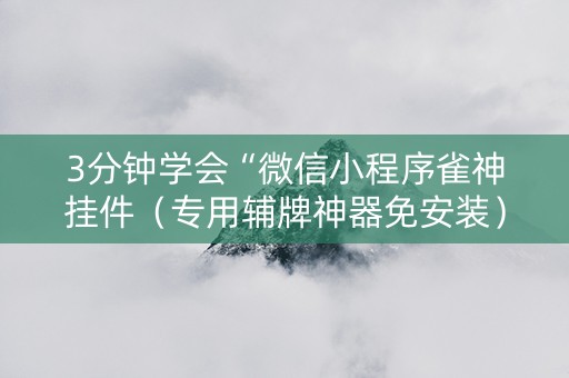 3分钟学会“微信小程序雀神挂件（专用辅牌神器免安装）