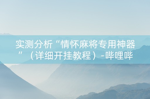 实测分析“情怀麻将专用神器”（详细开挂教程）-哔哩哔哩
