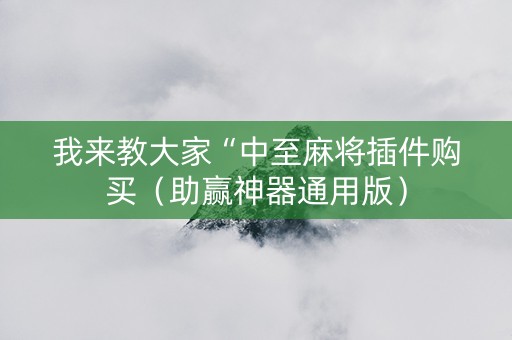 我来教大家“中至麻将插件购买（助赢神器通用版）