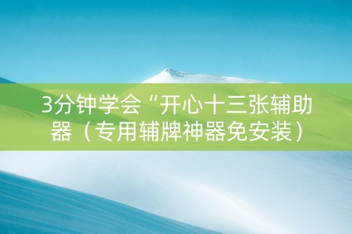 3分钟学会“开心十三张辅助器（专用辅牌神器免安装）