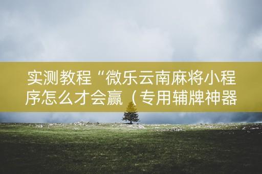 实测教程“微乐云南麻将小程序怎么才会赢（专用辅牌神器免安装）