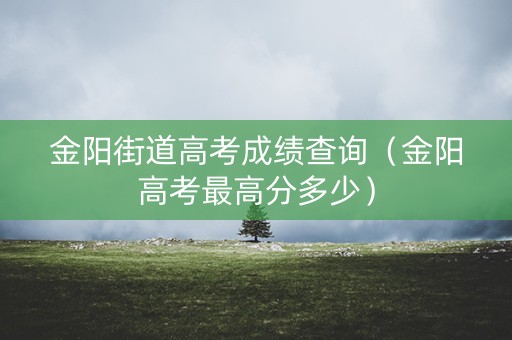 金阳街道高考成绩查询（金阳高考最高分多少）