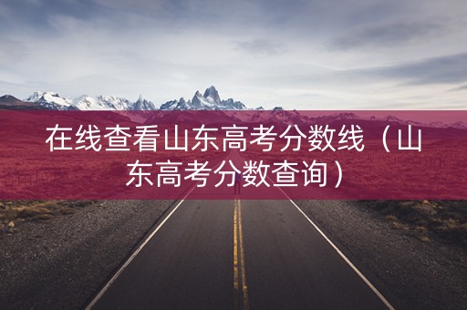 在线查看山东高考分数线（山东高考分数查询）