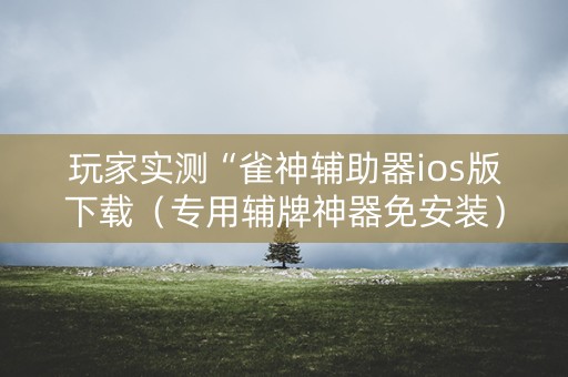玩家实测“雀神辅助器ios版下载（专用辅牌神器免安装）
