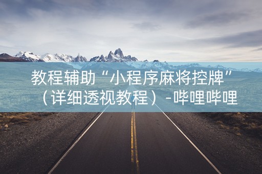 教程辅助“小程序麻将控牌”（详细透视教程）-哔哩哔哩