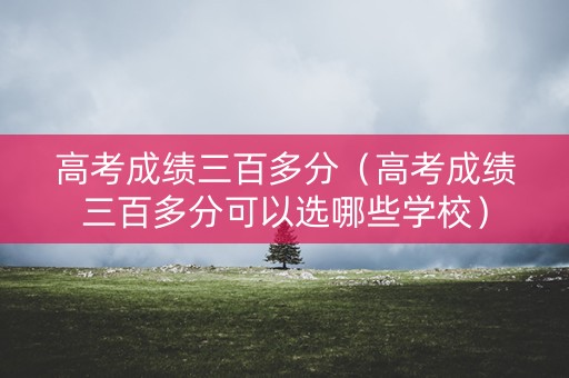高考成绩三百多分（高考成绩三百多分可以选哪些学校）