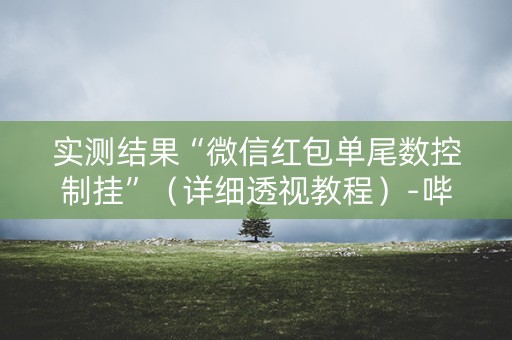 实测结果“微信红包单尾数控制挂”（详细透视教程）-哔哩哔哩