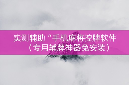 实测辅助“手机麻将控牌软件（专用辅牌神器免安装）
