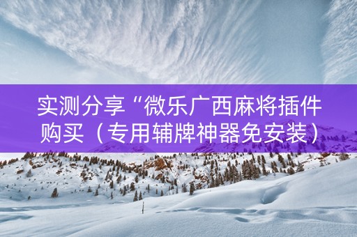 实测分享“微乐广西麻将插件购买（专用辅牌神器免安装）