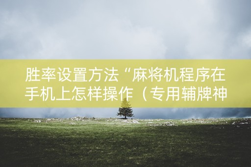 胜率设置方法“麻将机程序在手机上怎样操作（专用辅牌神器免安装）