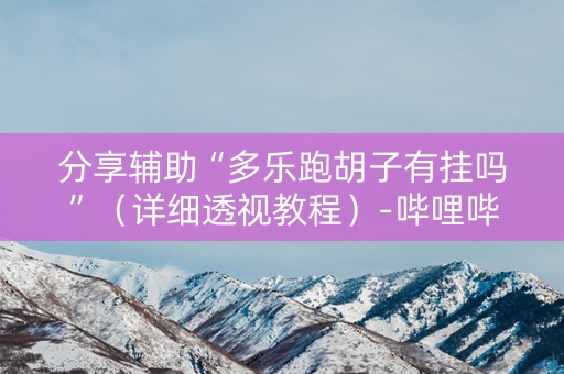 分享辅助“多乐跑胡子有挂吗”（详细透视教程）-哔哩哔哩