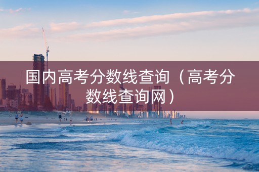 国内高考分数线查询（高考分数线查询网）