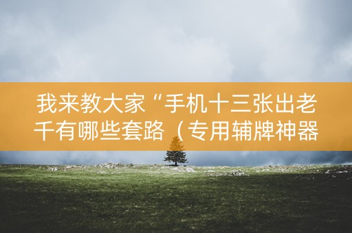 我来教大家“手机十三张出老千有哪些套路（专用辅牌神器免安装）