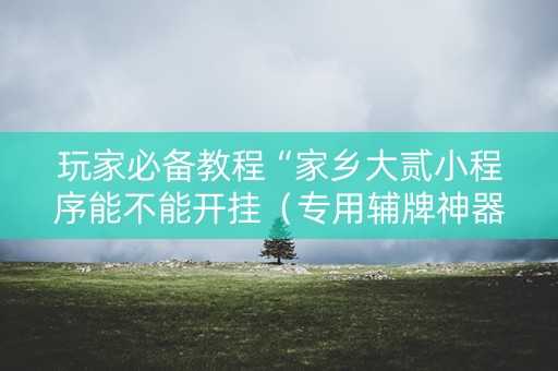 玩家必备教程“家乡大贰小程序能不能开挂（专用辅牌神器免安装）